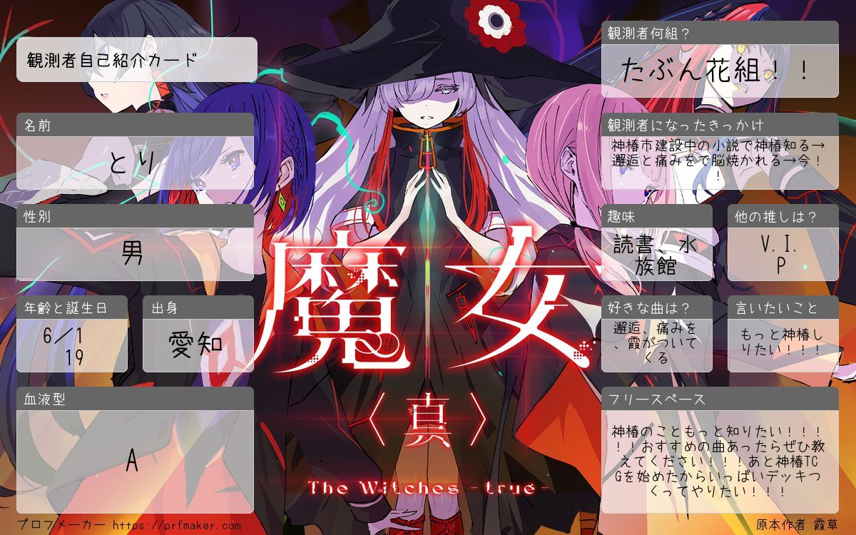 観測者自己紹介カード | プロフメーカー