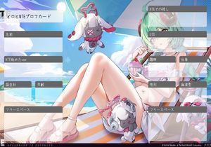 イロヒNTEプロフカード