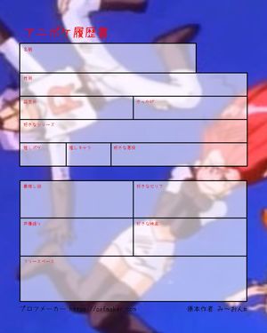 アニポケ履歴書