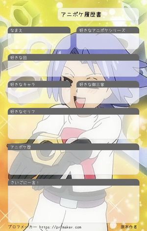 アニポケ履歴書