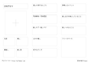 STPRプロフ