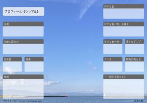 プロフィール《シンプル》