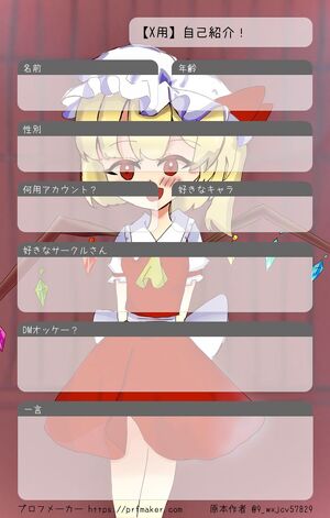 【X用】自己紹介！