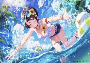 ホロリス