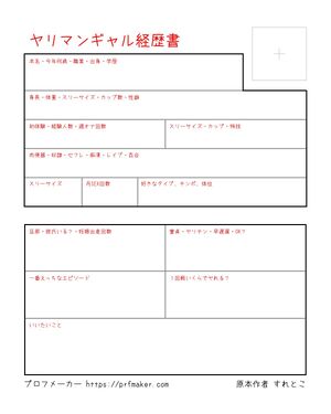 ヤリマンギャル経歴書